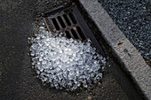 A pile of melting, discarded ice by a street drain on a street. 