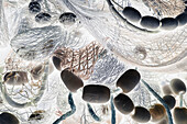 Ein Stapel kommerzieller Fischernetze, monochromes Bild. 
