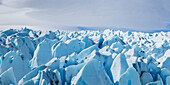 Grauer Gletscher, Torres Del Paine Nationalpark; Torres Del Paine, Magallanes und Antartica Chilena Region, Chile