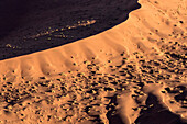 Afrika, Namibia, Namib-Naukluft-Park. Luftaufnahme einer Sanddüne