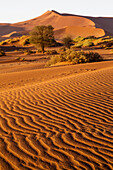 Africa, Namibia, Namib Desert, Namib-Naukluft National Park, Sossusvlei. Scenic red dunes with foregrounds of wind driven patterns.