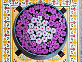 Asia, Vietnam, Mui Ne. Pink and white flowers floating on water in a large pot.
