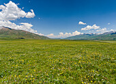 Die Suusamyr-Ebene, ein Hochtal im Tien-Shan-Gebirge, Kirgisistan