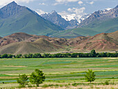 Landwirtschaft in der Nähe des Issyk-Kul-Sees. Tien-Shan-Gebirge oder himmlische Berge in Kirgisien, Kirgisistan