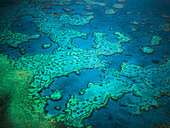 Great Barrier Reef, Queensland, Australien