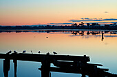 Verfallener Kai und Spiegelungen im New River Estuary in der Abenddämmerung, Invercargill, Südland, Südinsel, Neuseeland