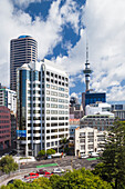 Neuseeland, Nordinsel, Auckland. Skyline des CBD und Sky Tower