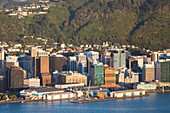 Neuseeland, Nordinsel, Wellington. Erhöhte Stadtsilhouette vom Mt. Victoria