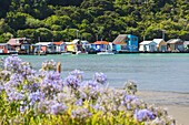 New Zealand, North Island, Paremata. Houses along Porirua Harbor