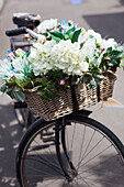 Neuseeland, Nordinsel, Martinborough. Fahrrad mit Blumen