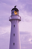 New Zealand, North Island, Castlepoint. Castlepoint Lighthouse