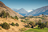 New Zealand, South Island, Otago, Wanaka, vineyard on Lake Wanaka