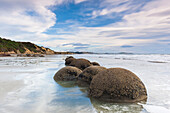 New Zealand, South Island, Otago, Moeraki, Moeraki Boulders also known as Te Kaihinaki, dawn