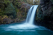 Tawhai Falls, Whakapapanui Stream, Tongariro National Park, Central Plateau, North Island, New Zealand