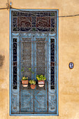 Drei Blumentöpfe sitzen in einem schmiedeeisernen Tor vor einer blauen Tür in Alt-Havanna; La Habana Vieja, Kuba.