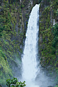 Caribbean, West Indies, Dominica Island. One of Dominica's most popular natural attractions. The left falls (shown) drop 125 feet and the right falls drop 75 feet.