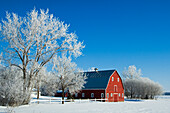 Kanada, Manitoba, Grande Pointe. Raureif und rote Scheune im Winter