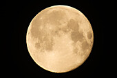 Canada, Manitoba, Winnipeg. Close-up of full moon