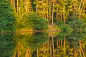 Canada, Ontario. Sunset on forest reflected in lake