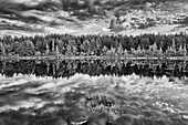 Kanada, Ontario, Greater Sudbury. Schwarzweißaufnahme von Seegräsern und Wolkenreflexionen bei Sonnenaufgang