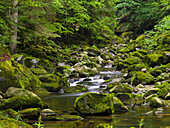 Valley of river Wolfsteiner Ohe (Buchberger Leite) in the Bavarian Forest. Europe, Germany, Bavaria