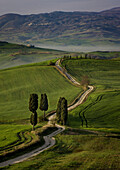 Cypress trees and winding road to villa near Pienza, Tuscany, Italy