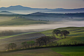 Nebelige Morgendämmerung über der toskanischen Landschaft bei San Quirico d'Orcia, Toskana, Italien