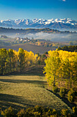 Herbstlicher Blick über die Poebene auf die Ligurischen Alpen bei Monforte d'Alba, Piemont, Italien