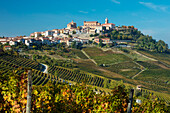 Blick über die Nebbiolo-Weinberge auf das mittelalterliche Städtchen La Morra, Piemont, Italien