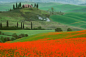 Europe, Italy, Tuscany. The Belvedere villa landmark and farmland