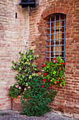 Italy, Tuscany. Plants inside the Abbazia di Monte Oliveto Maggiore, one of the rural monasteries in Tuscany.
