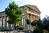 Italien, Sizilien, Segesta. Der griechische Tempel besteht aus 36 Säulen.