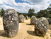 Almendres Cromlech (Cromeleque dos Almendres), ein ovaler Steinkreis aus dem späten Neolithikum oder der frühen Kupferzeit. Portugal