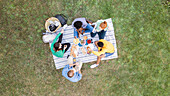Fröhliche junge Freunde machen ein Picknick im Garten