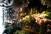 View of inside of interior design showroom with samples of various types of flower bouquets