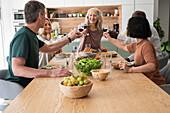 Group of diverse senior friends making a toast while having dinner at home