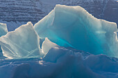 Greenland, Scoresby Sund, Gasefjord. Chunk of ice on top of an iceberg.