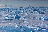 Grönland, Diskobucht, Ilulissat, Blick auf schwimmendes Eis von oben