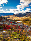 View of mountain landscape