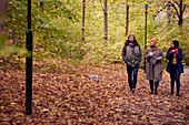 Freunde spazieren im Herbstwald