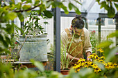 Man gardening in greenhouse