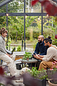 Smiling friends talking in greenhouse