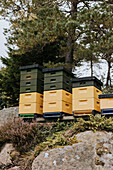 Low angle view of beehives