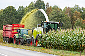Tractor and combine harvesting corn