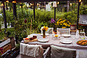 Table set in greenhouse