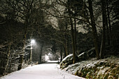 Empty footpath in snowy park at night