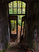 Entrance door in abandoned building
