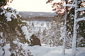 Two friends resting together in winter scenery