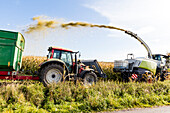 Combine and tractor harvesting corn