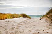 Sand dune on sea coast